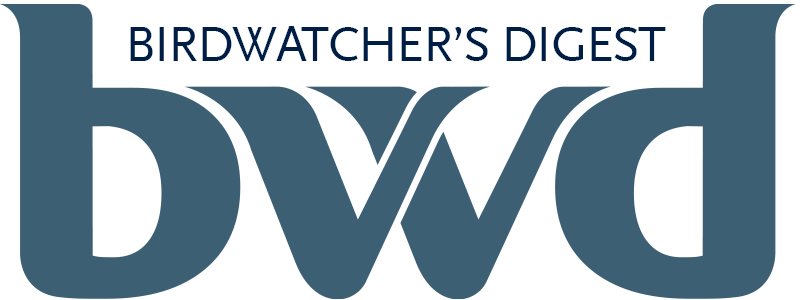 BWD Logo